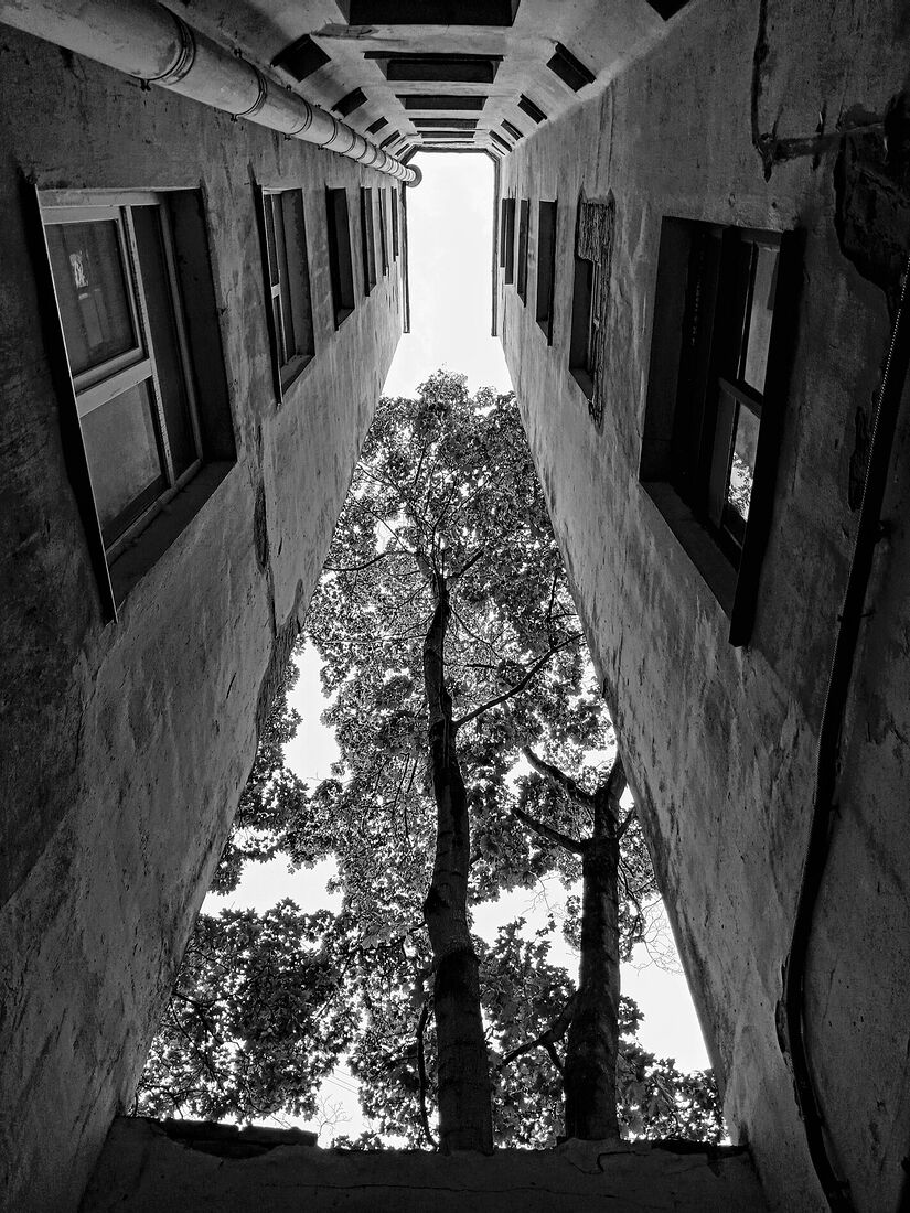 Anna Butorina. black and white. Untitled