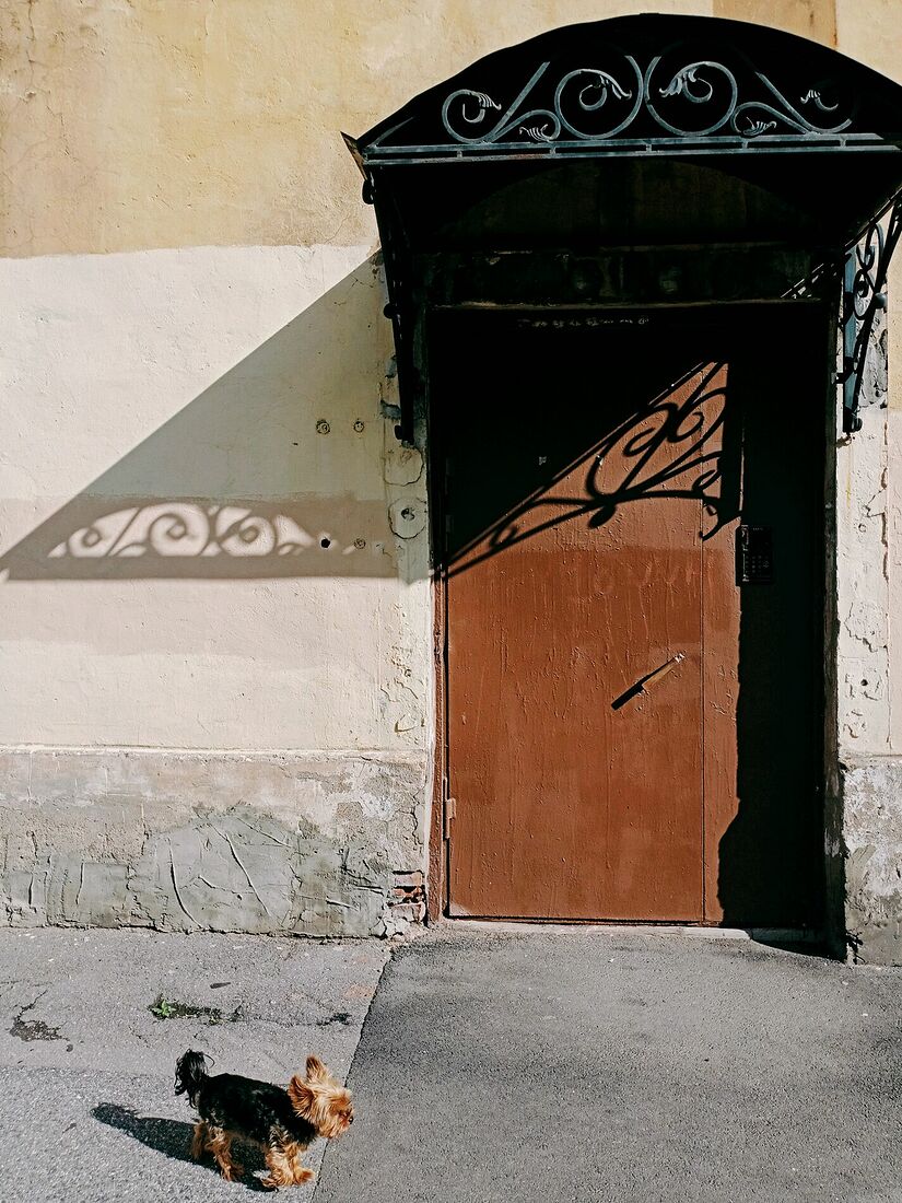 Anna Butorina. colours. Untitled