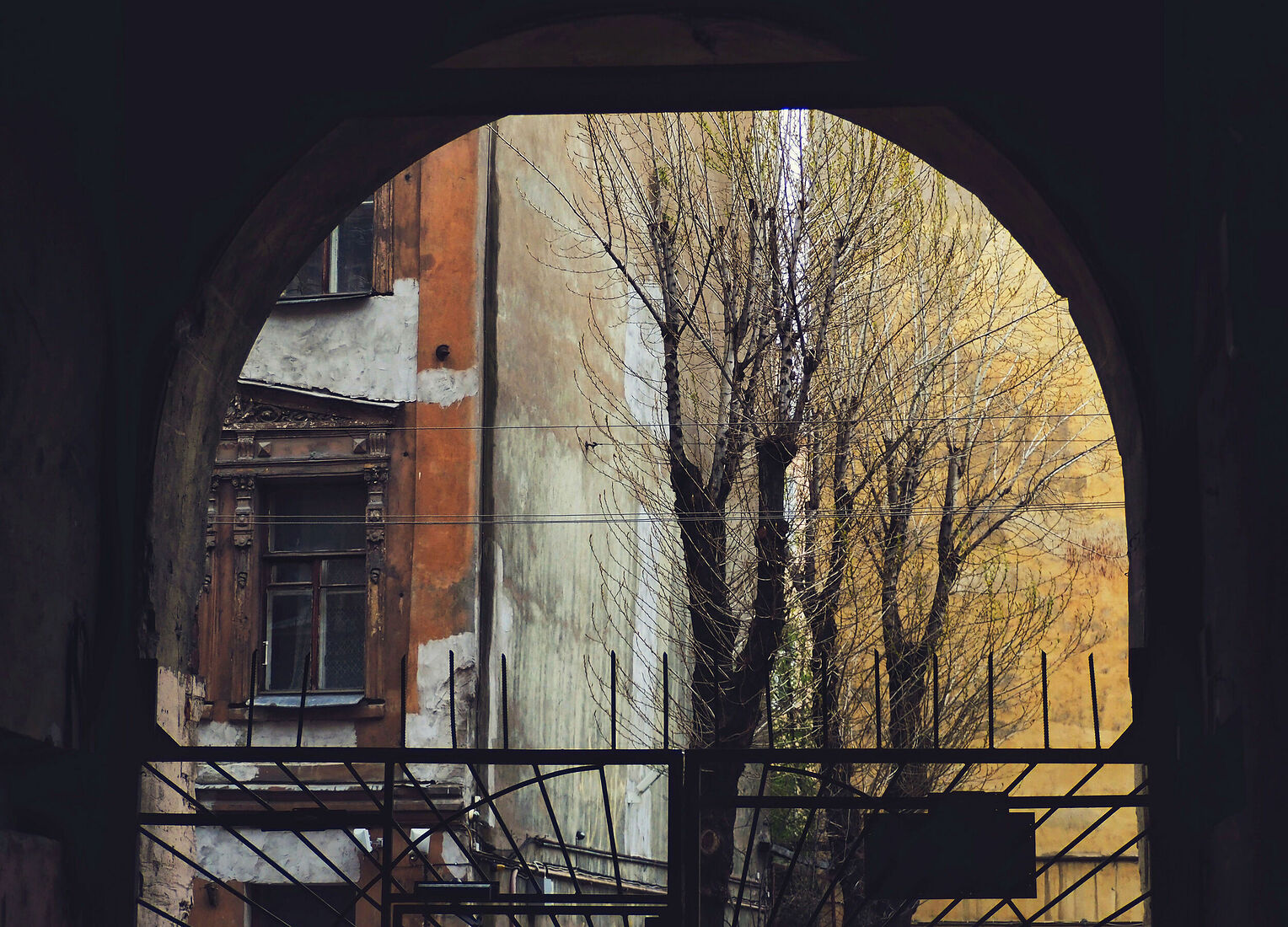 Anna Butorina. colours. Untitled