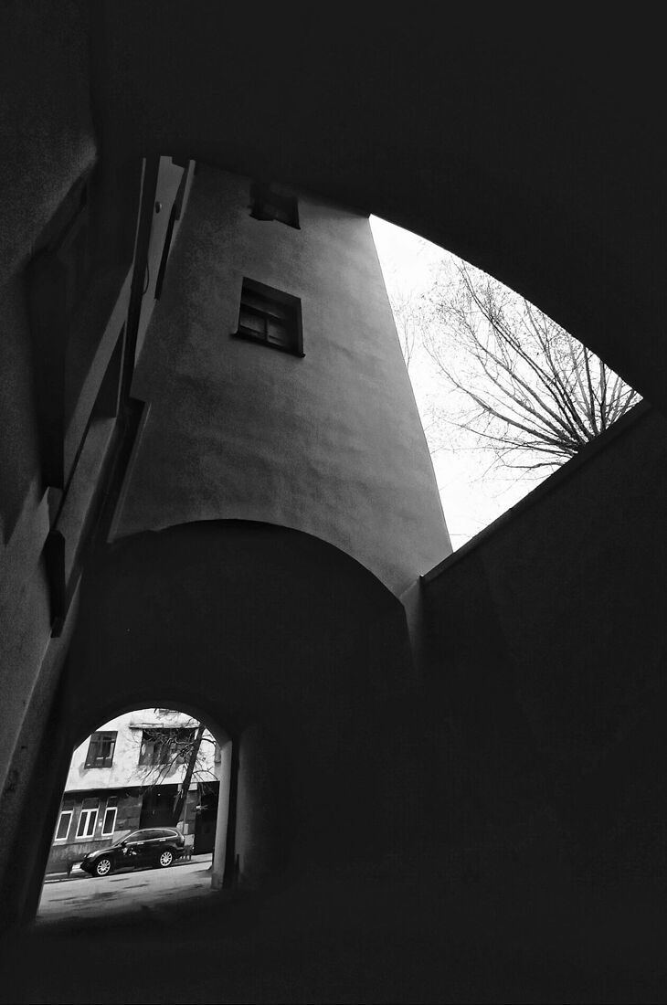 Anna Butorina. black and white. Untitled