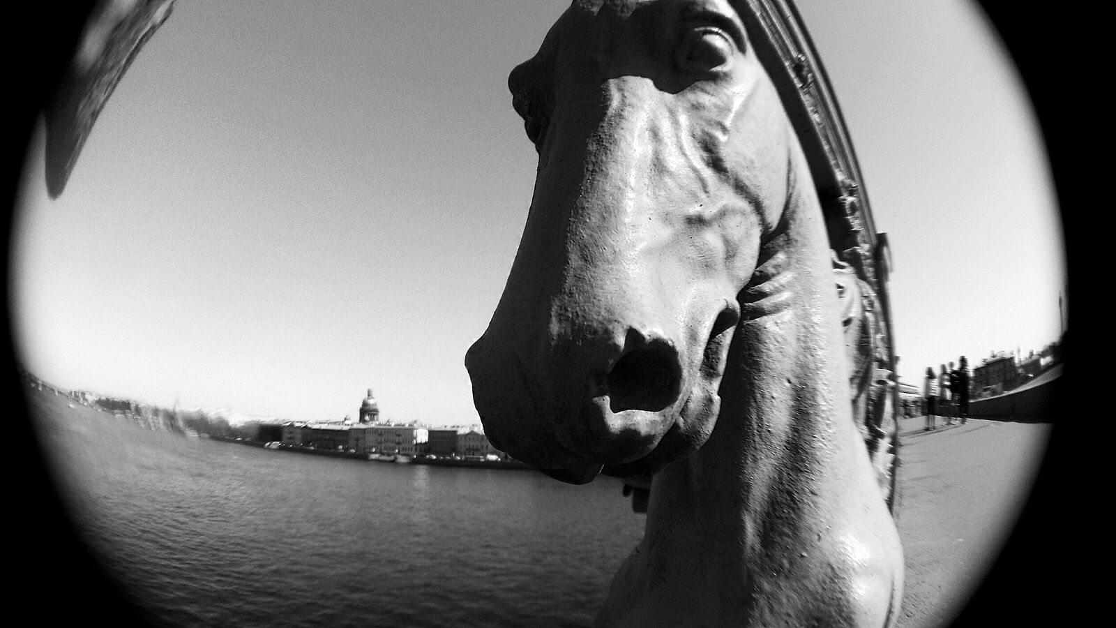 Anna Butorina. black and white. Untitled