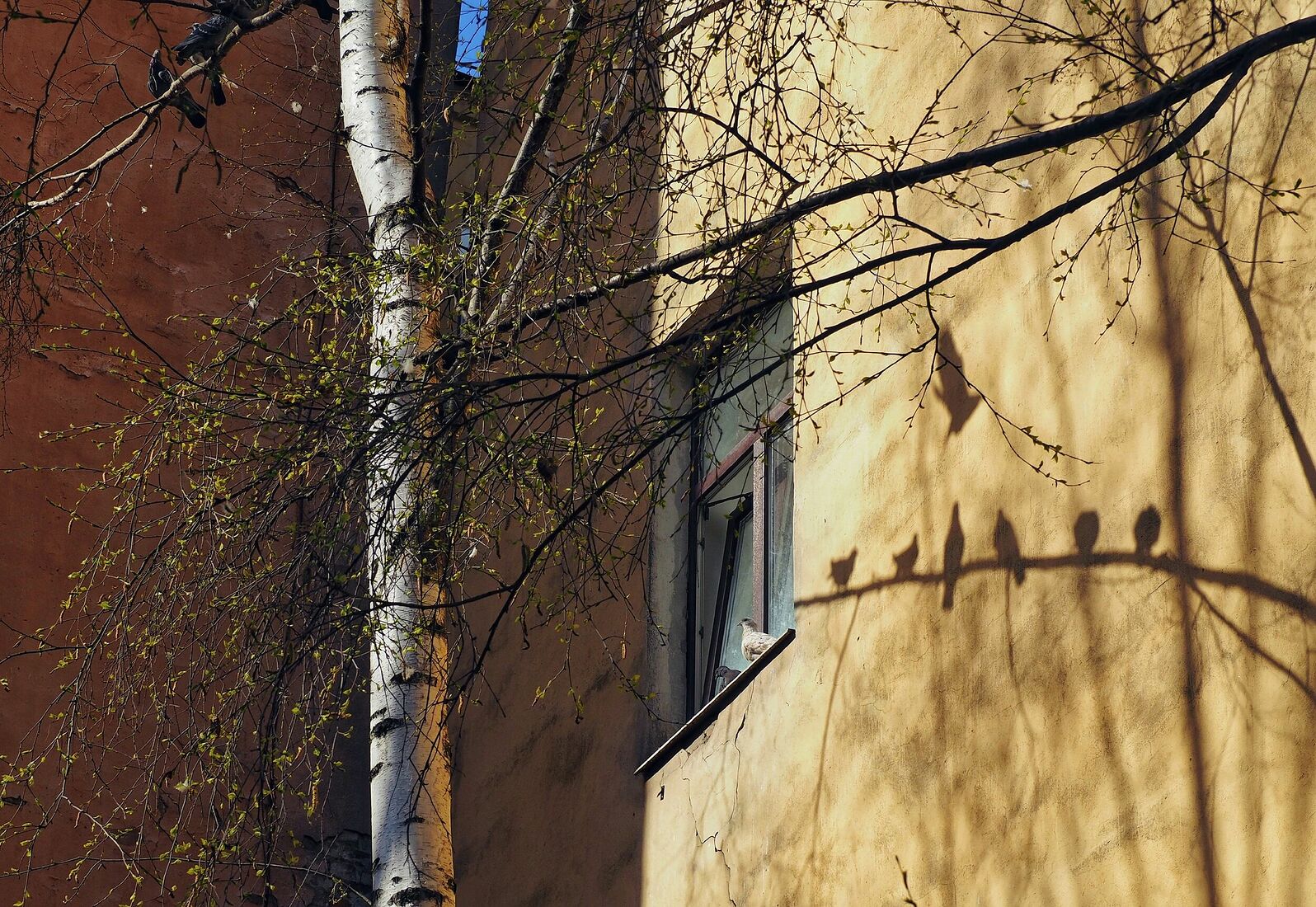 Anna Butorina. colours. Untitled
