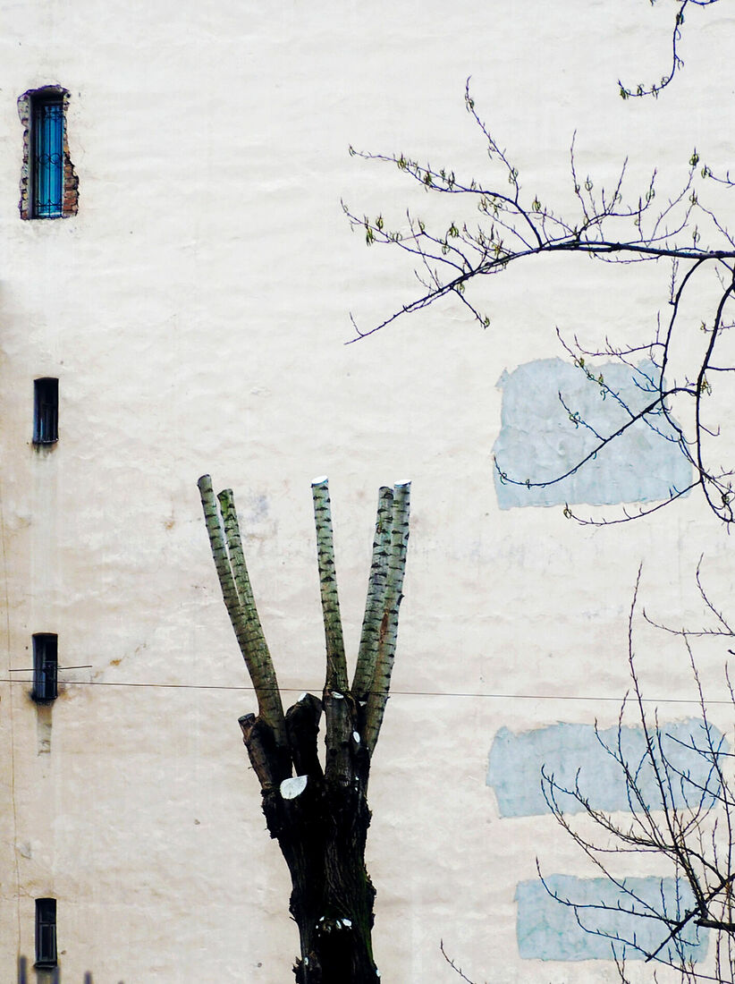 Anna Butorina. colours. Untitled