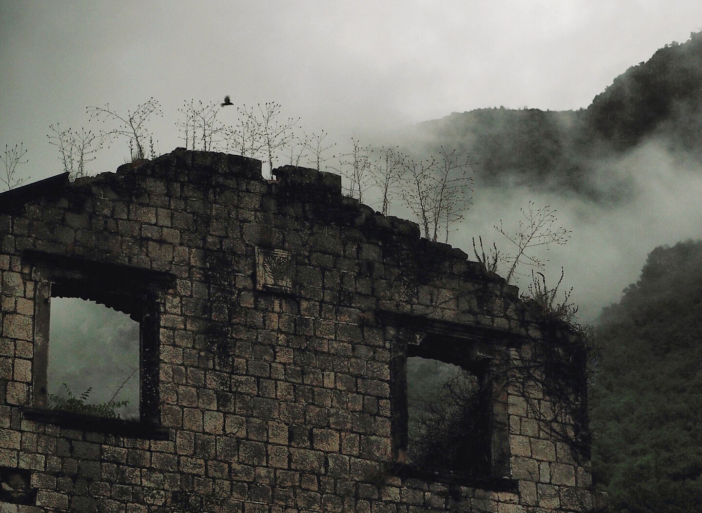 Anna Butorina. Nature. Untitled