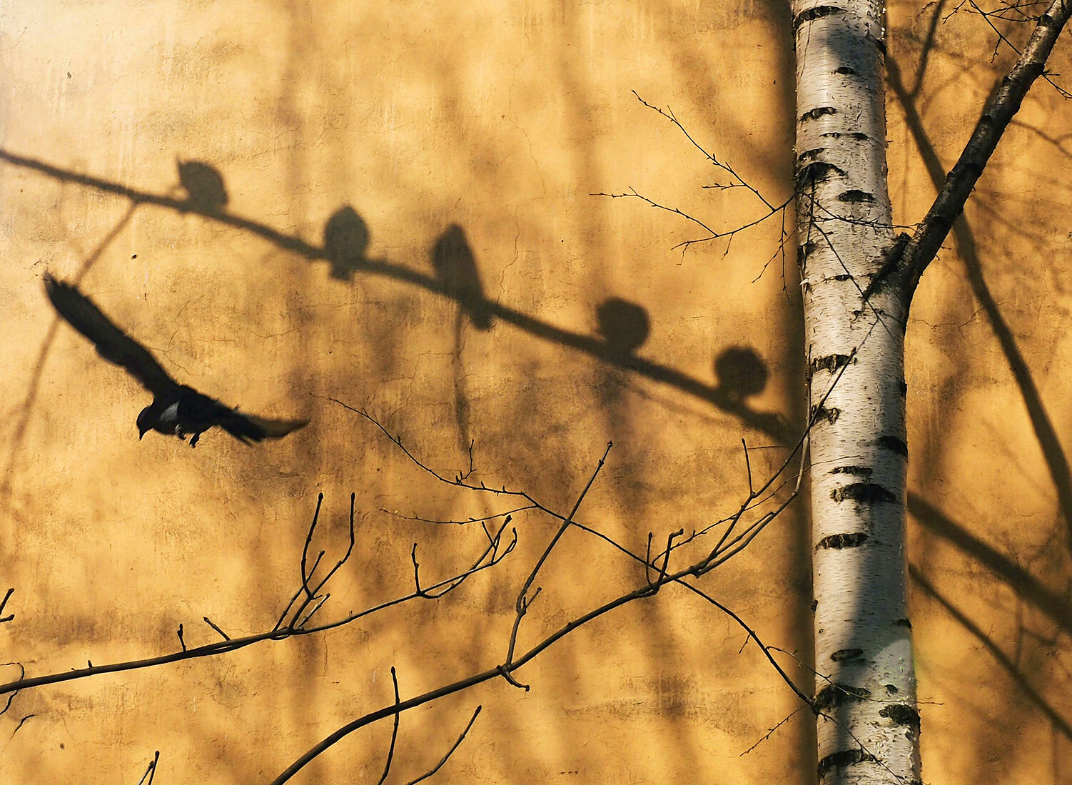 Anna Butorina. colours. Untitled