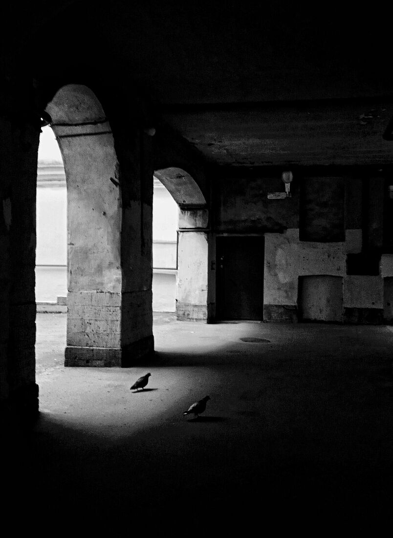 Anna Butorina. black and white. Untitled