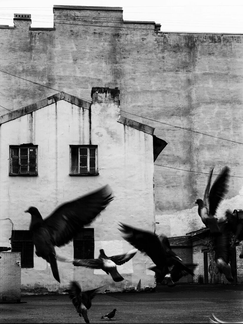 Anna Butorina. black and white. Untitled