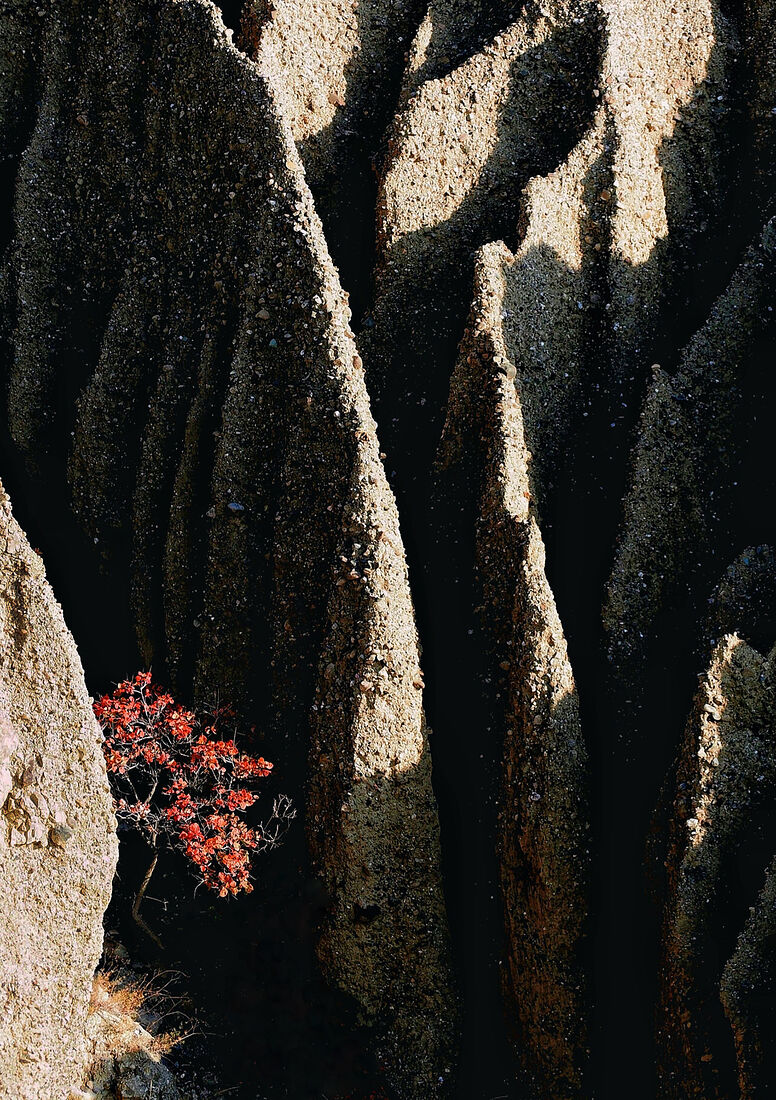 Anna Butorina. Nature. Untitled