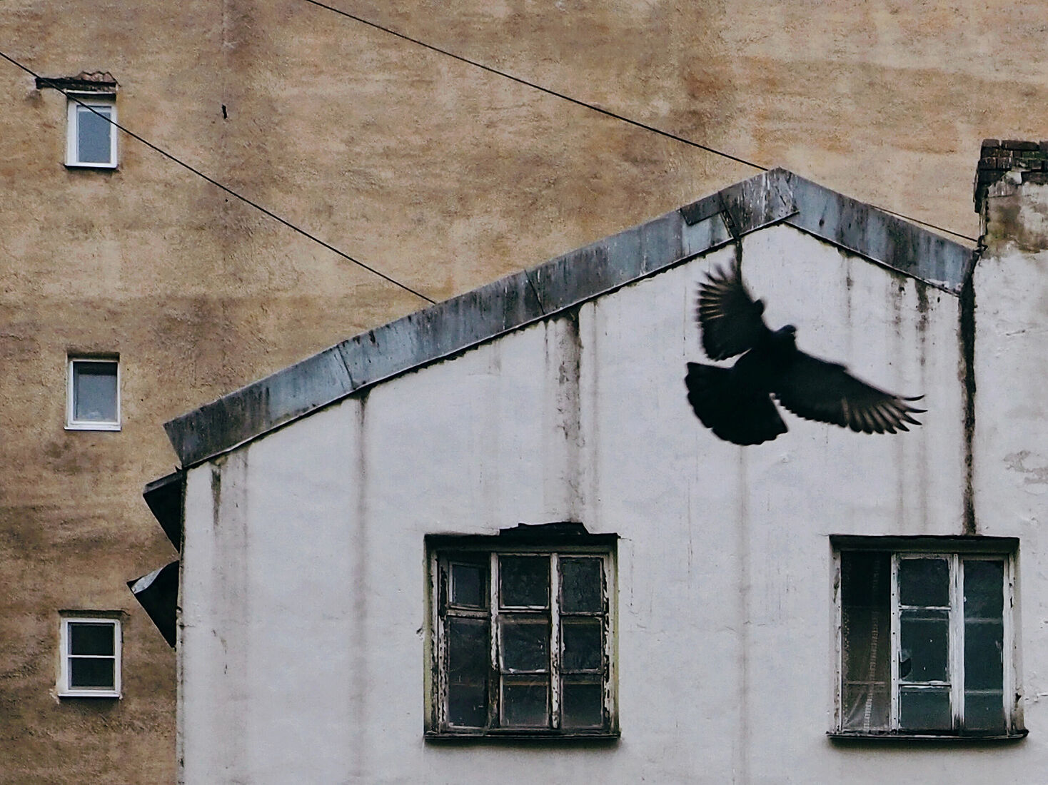 Anna Butorina. colours. Untitled
