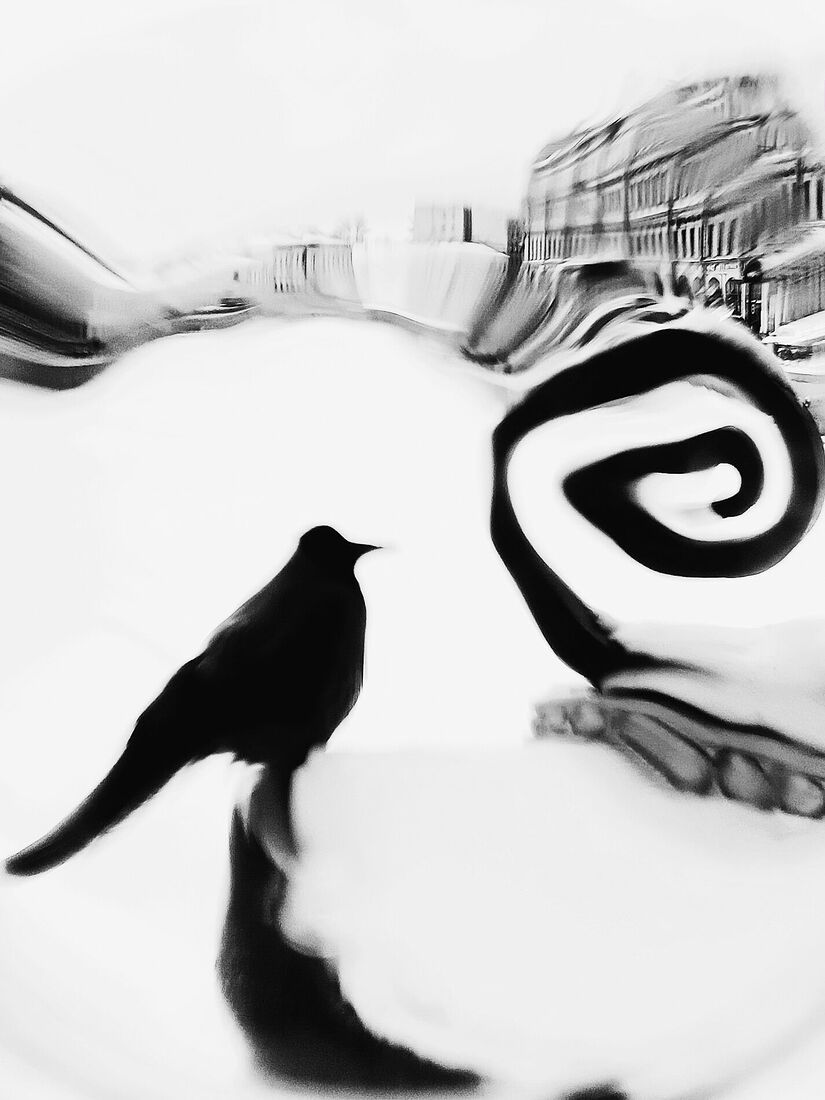 Anna Butorina. black and white. Untitled