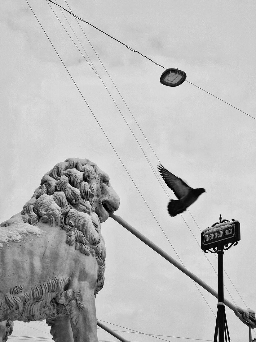 Anna Butorina. black and white. Untitled